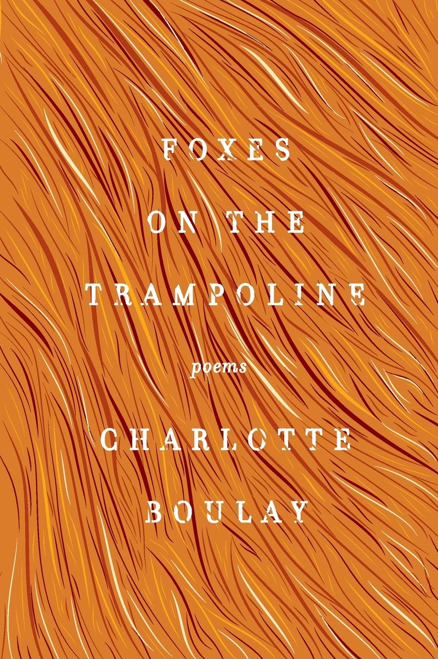 Foxes on the Trampoline: Poems