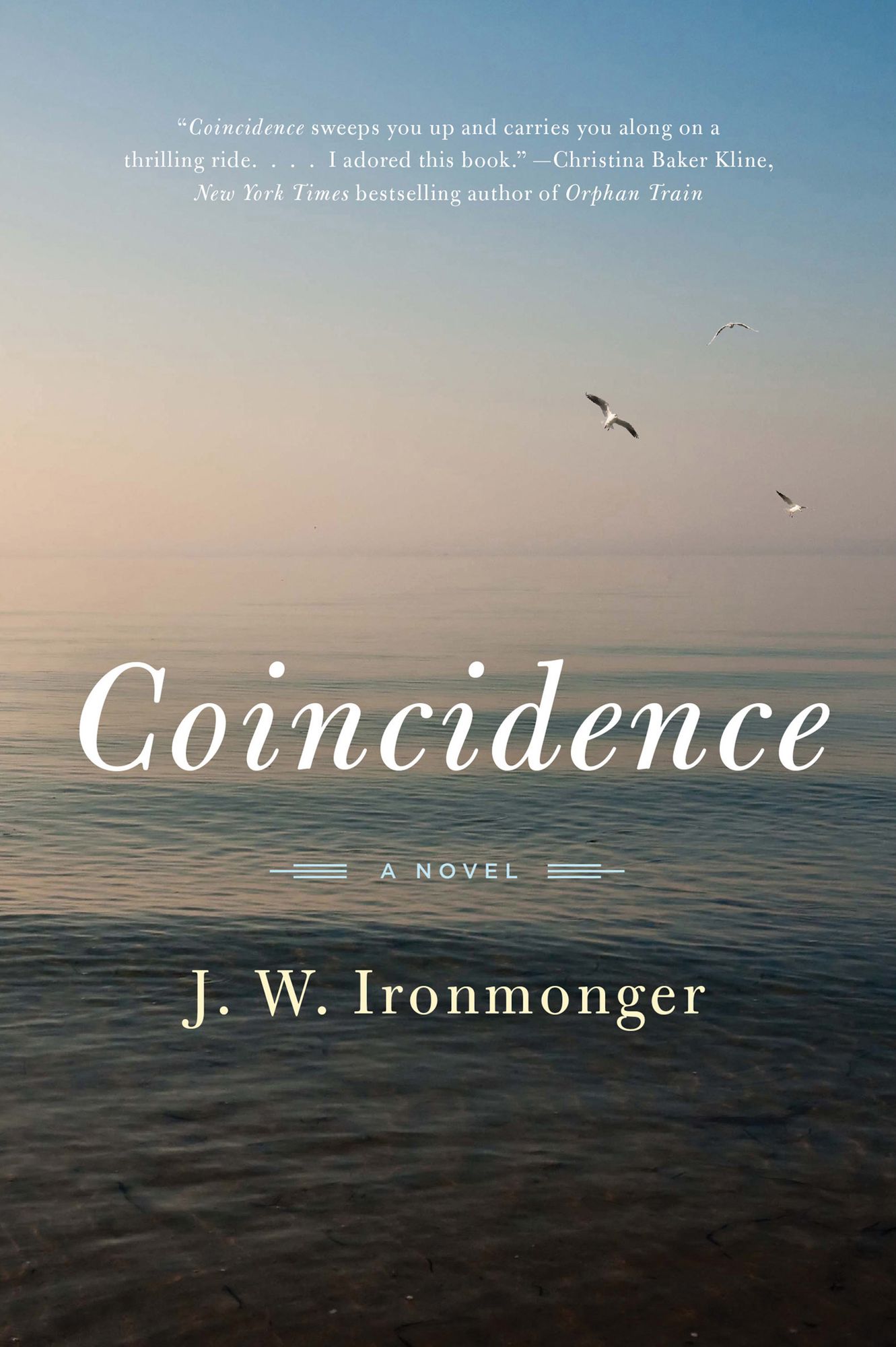 Coincidence: A Novel