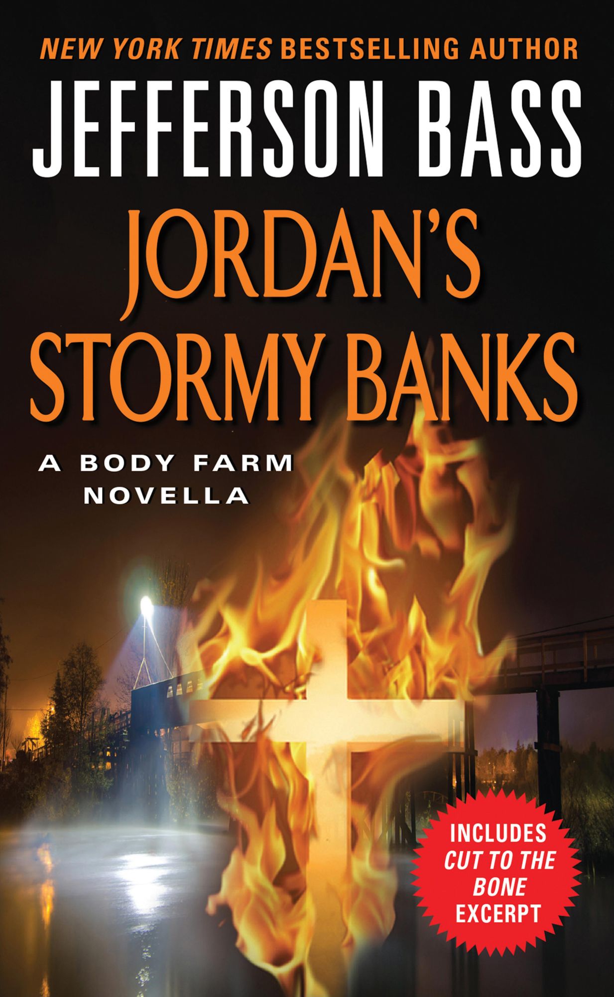 Jordan's Stormy Banks (Body Farm Series Novella)