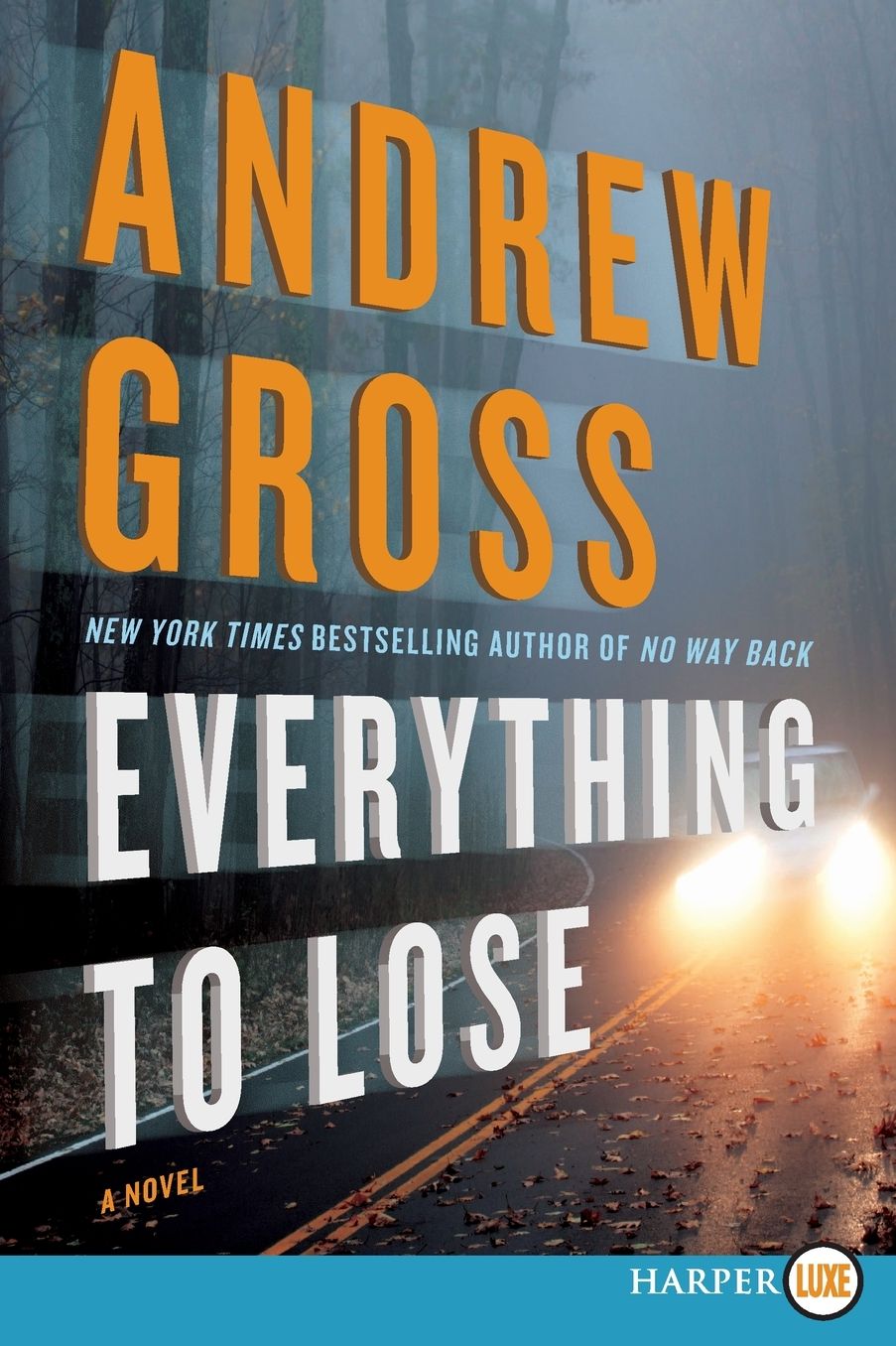 Everything to Lose LP: A Novel