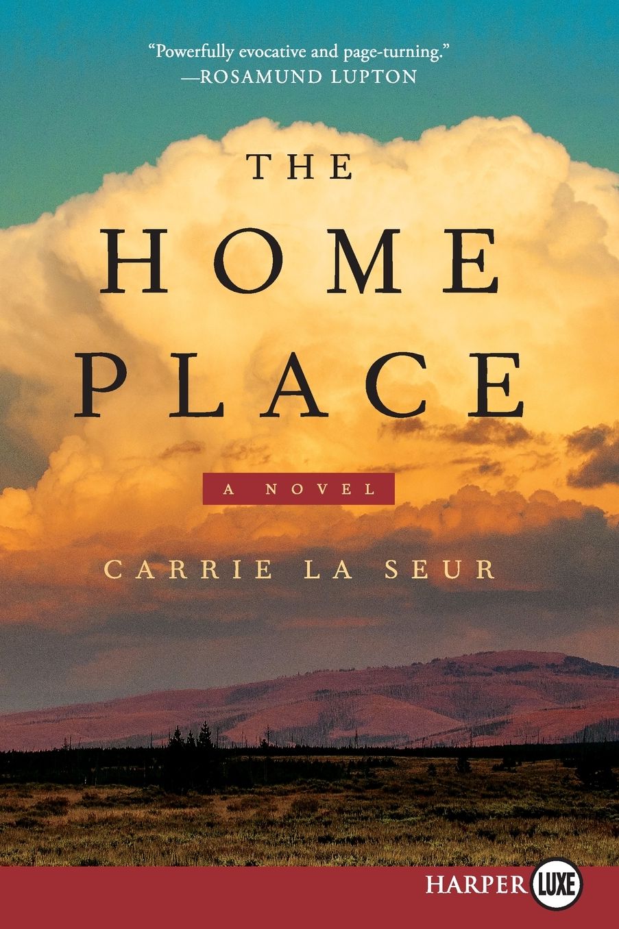 The Home Place LP: A Novel