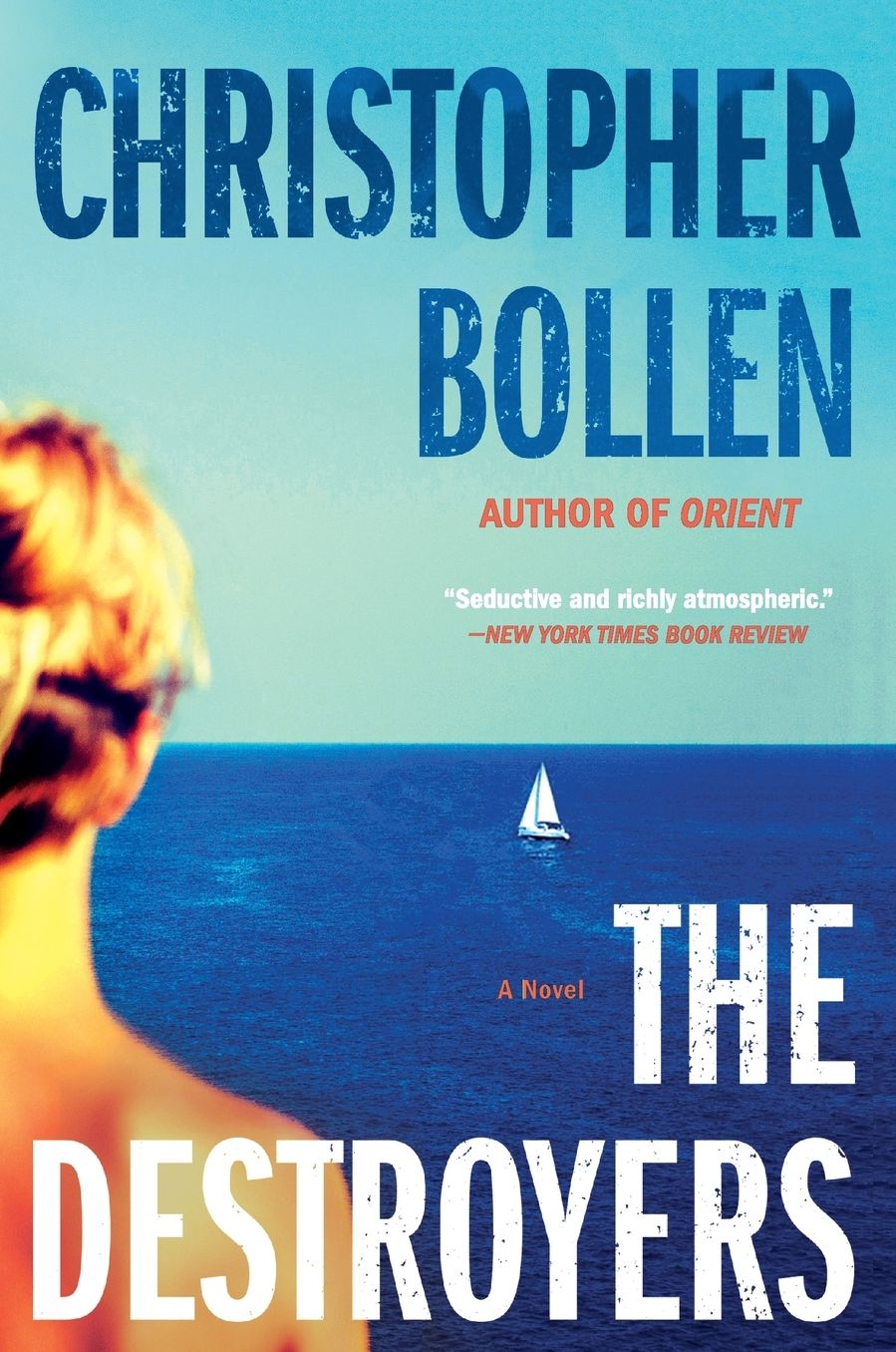 The Destroyers: A Novel