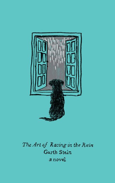 The Art of Racing in the Rain