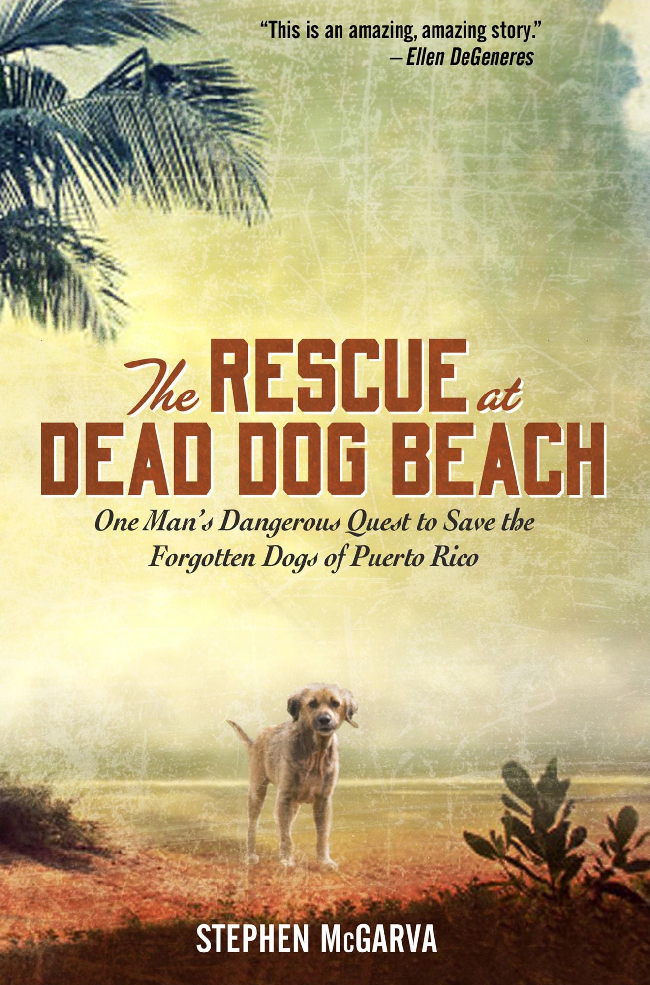 The Rescue at Dead Dog Beach: One Man's Quest to Find a Home For the World's Forgotten Animals