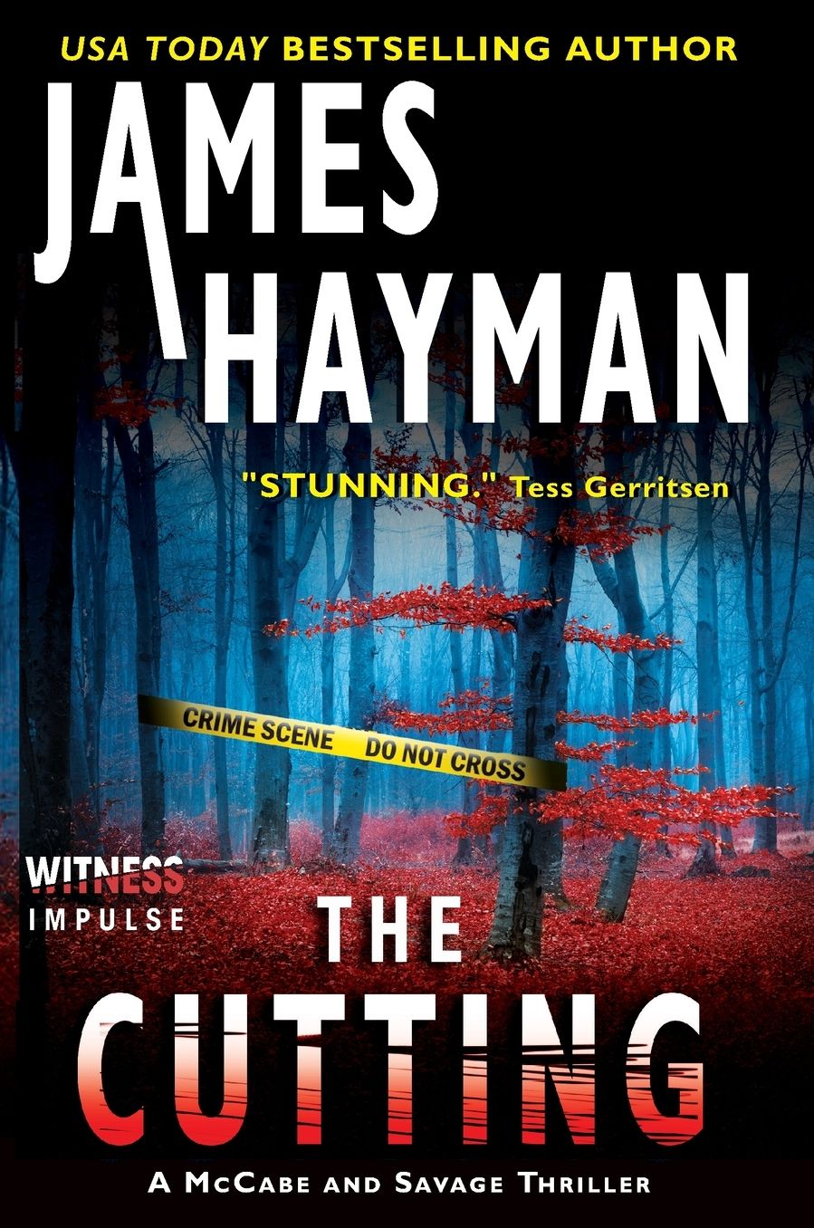 The Cutting (McCabe and Savage Series #1)