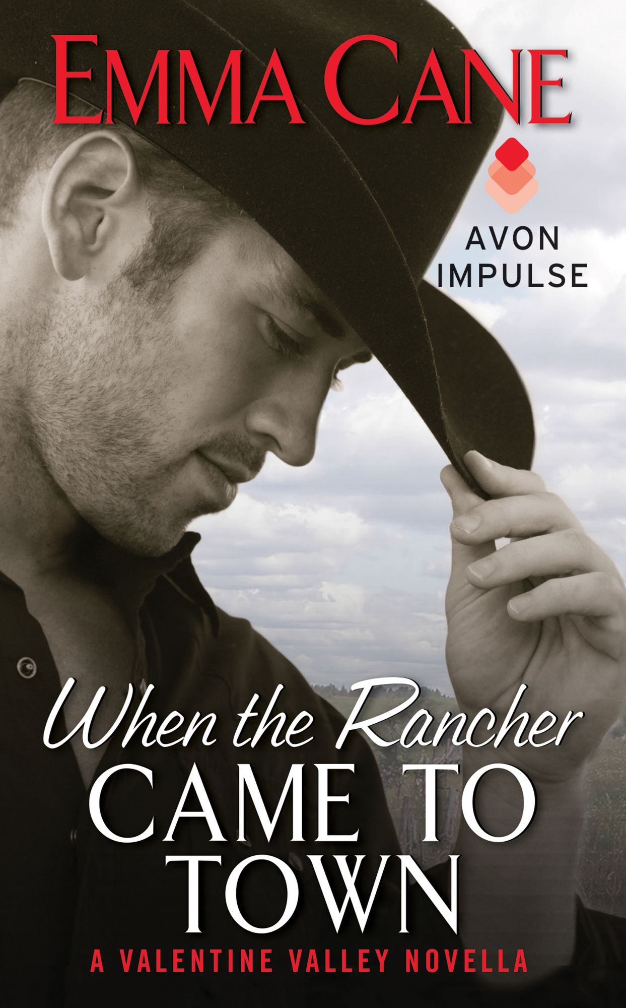 When the Rancher Came to Town: A Valentine Valley Novella