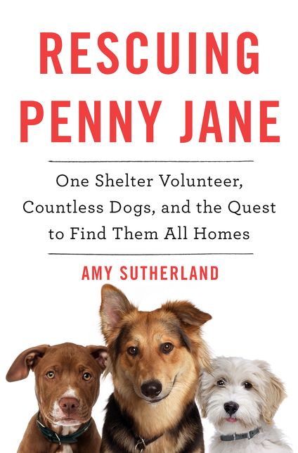 Rescuing Penny Jane: One Shelter Volunteer, Countless Dogs, and the Quest to Find Them All Homes