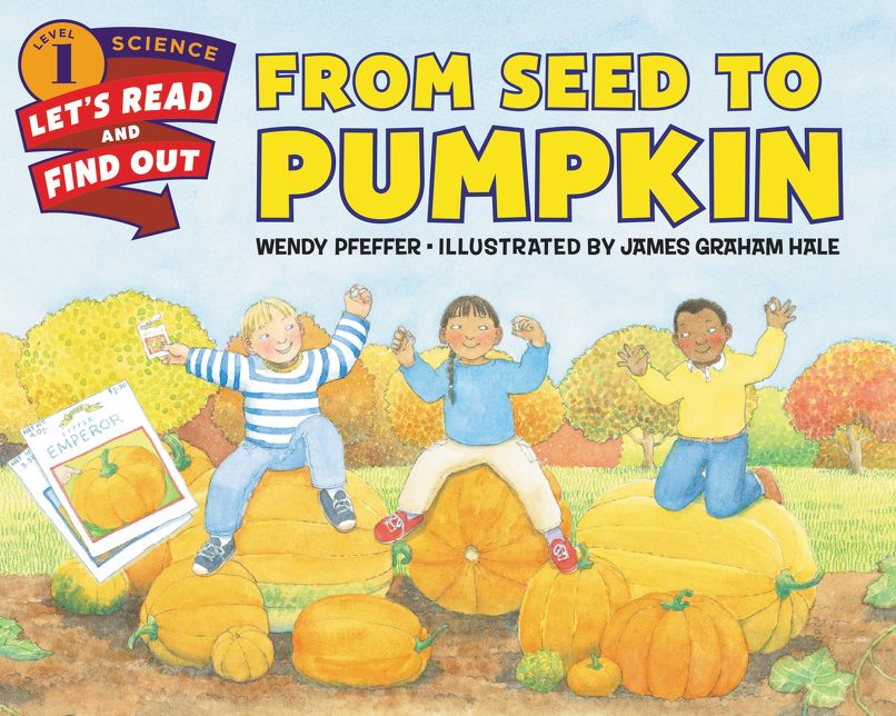 From Seed to Pumpkin