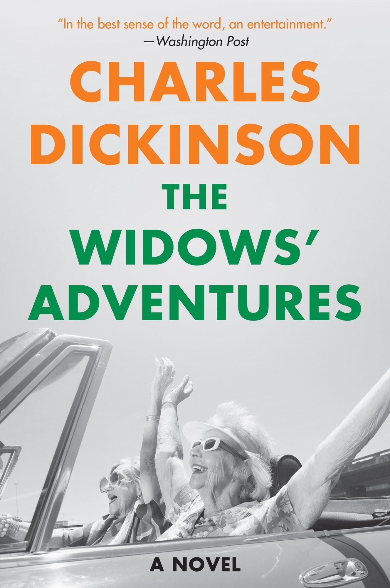 The Widows' Adventures: A Novel