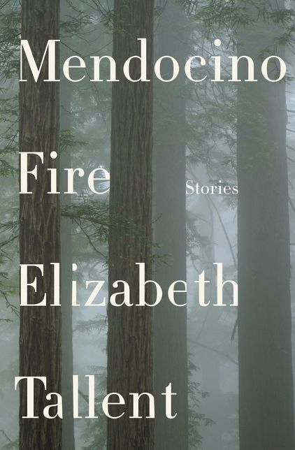Mendocino Fire