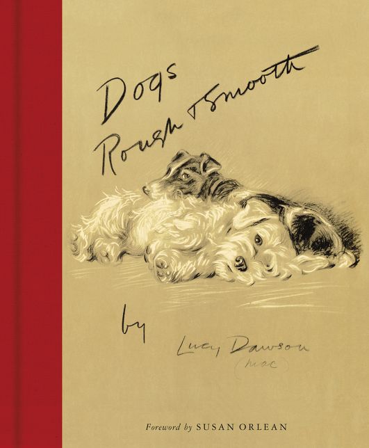 Dogs Rough and Smooth