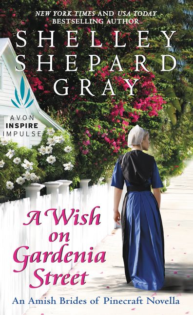 A Wish on Gardenia Street: An Amish Brides of Pinecraft Novella