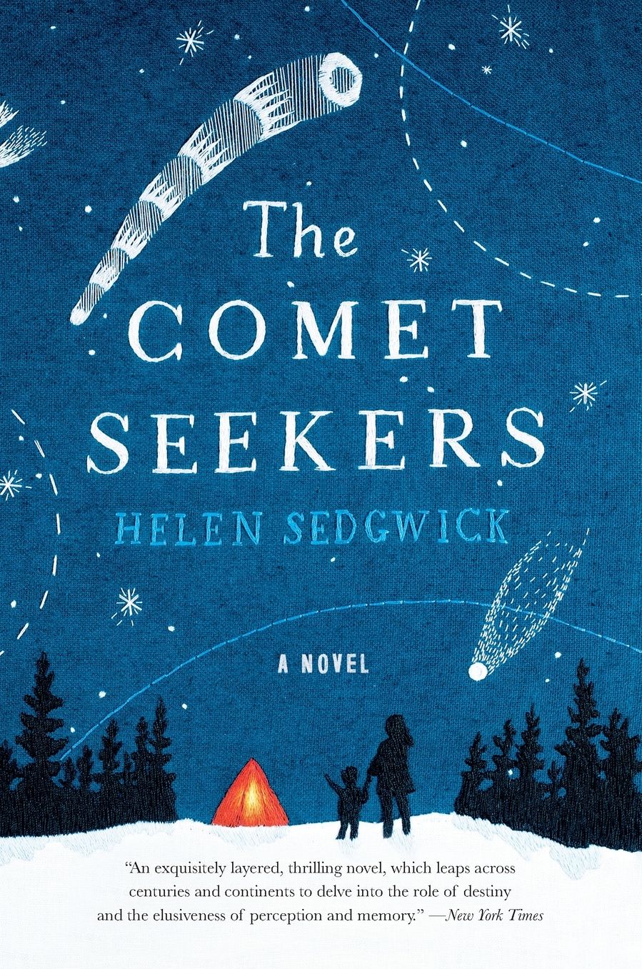 The Comet Seekers: A Novel