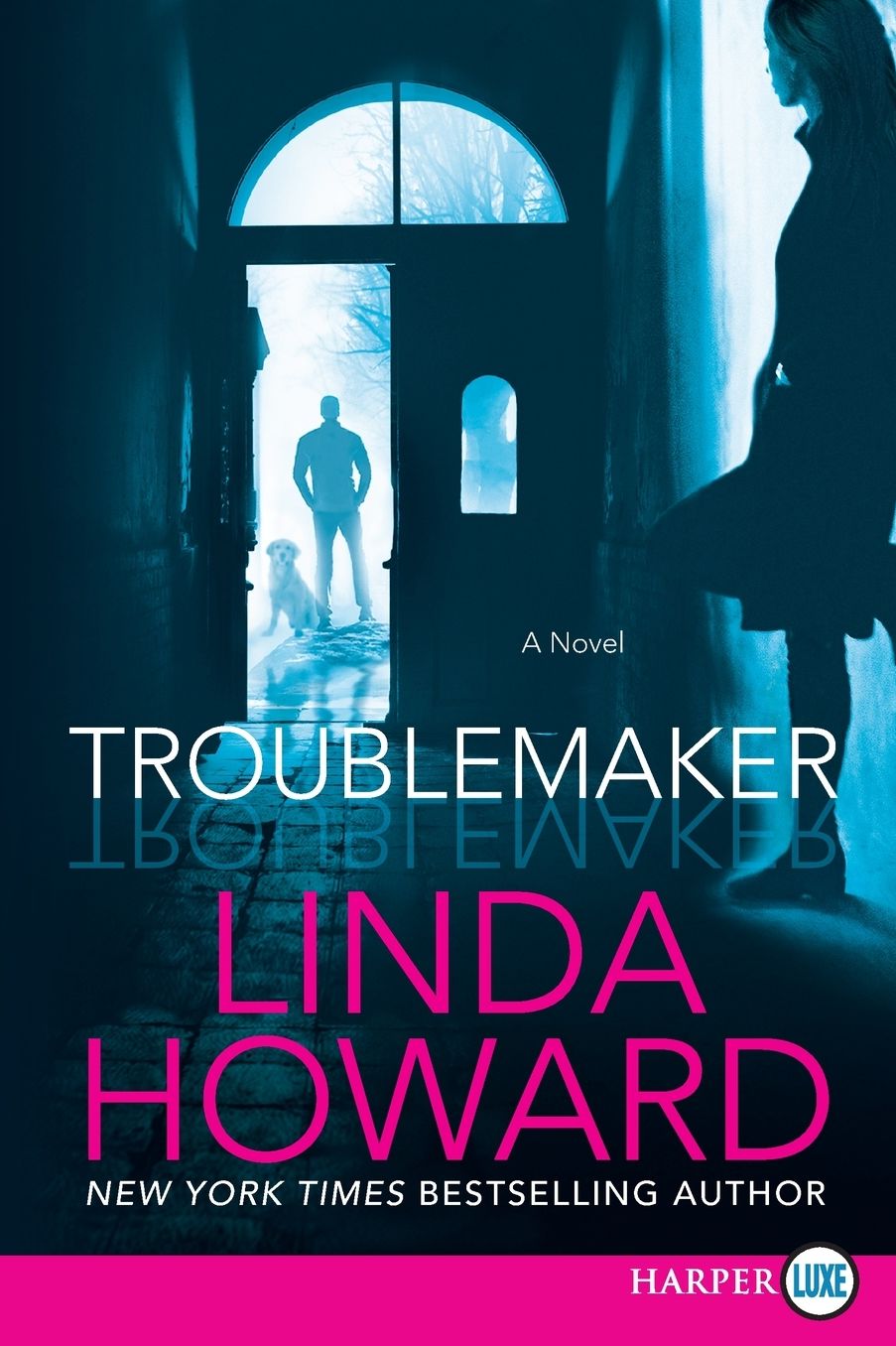 Troublemaker
