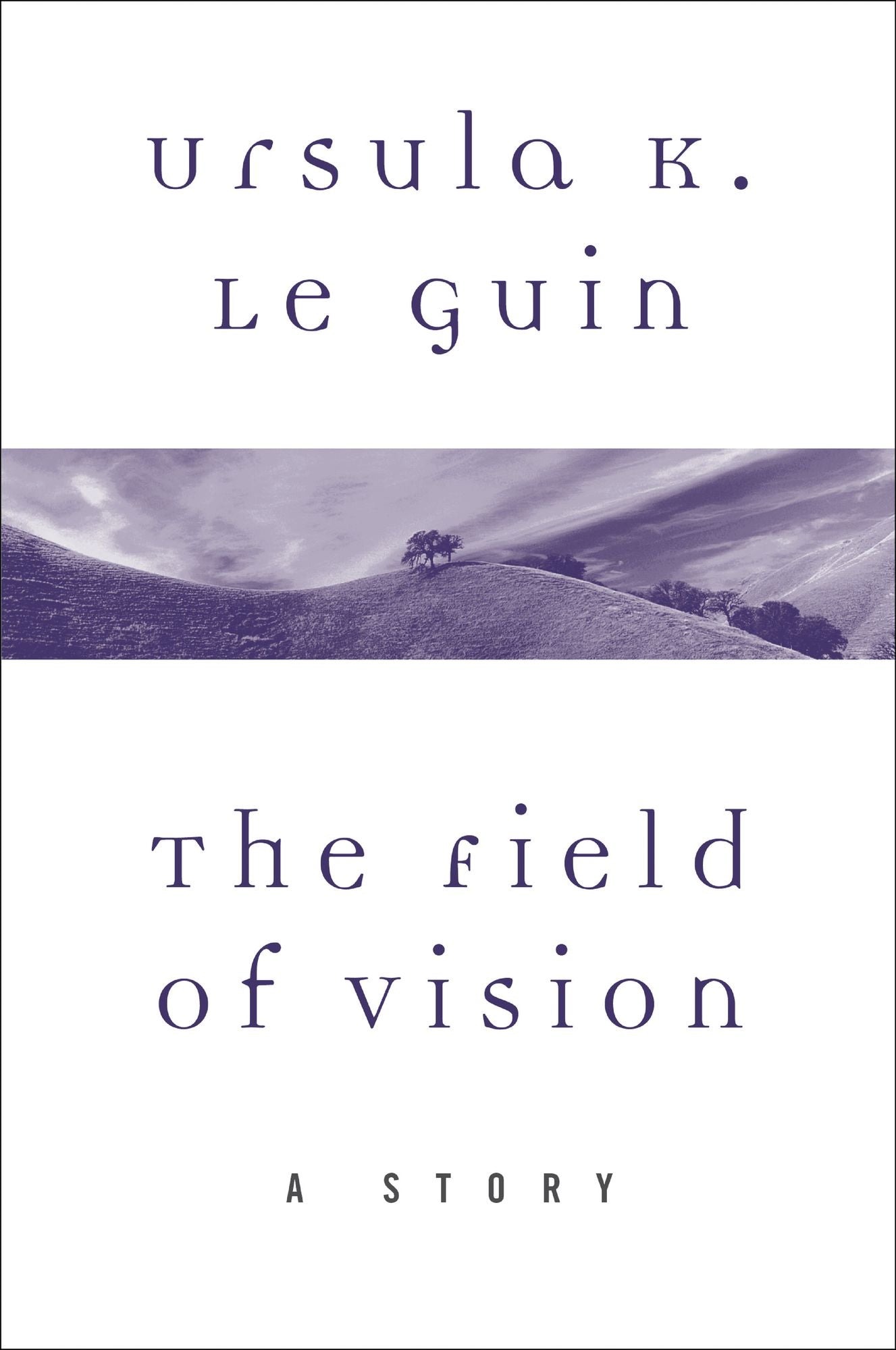 The Field of Vision: A Story