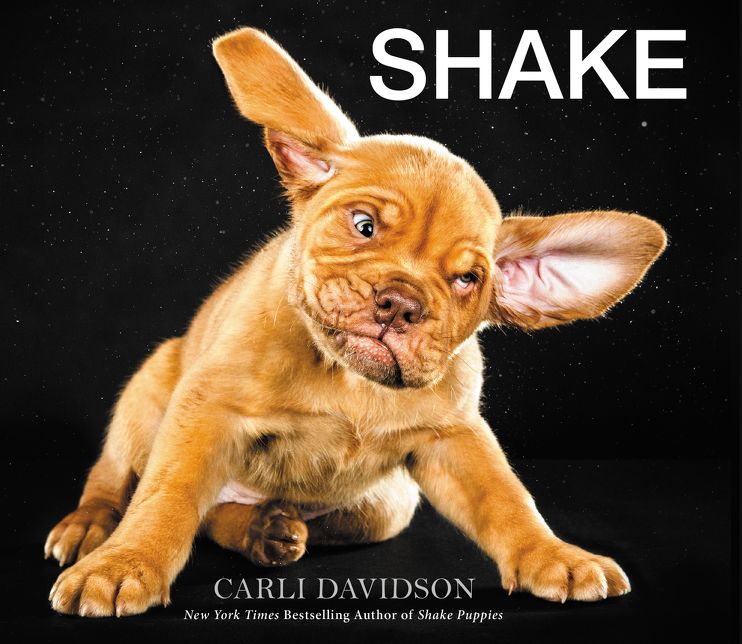 Shake