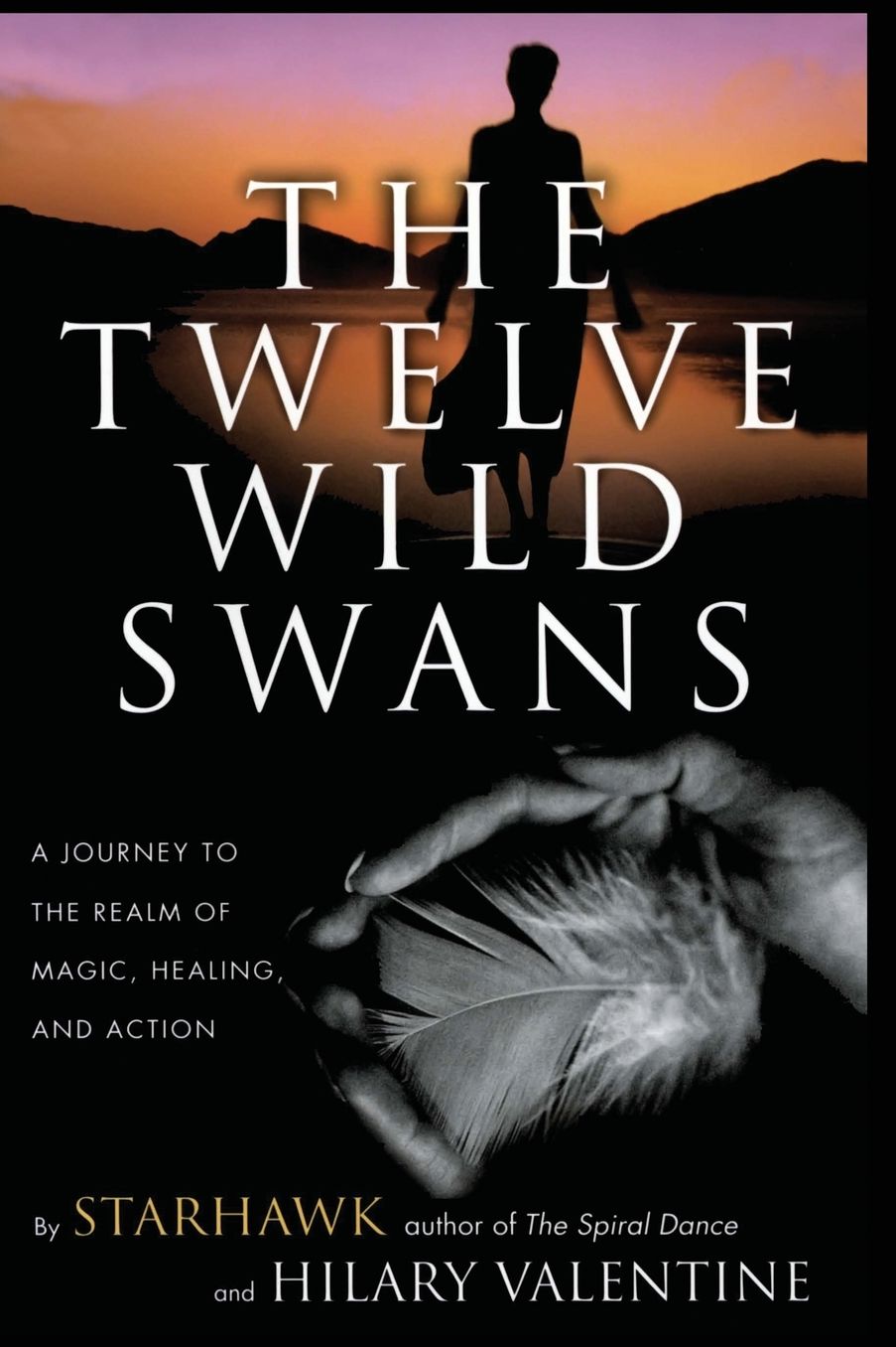 Twelve Wild Swans: A Journey to the Realm of Magic, Healing, and Action