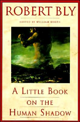 Little Book on the Human Shadow