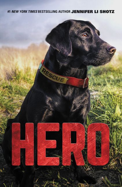 Hero (Hero Series #1)