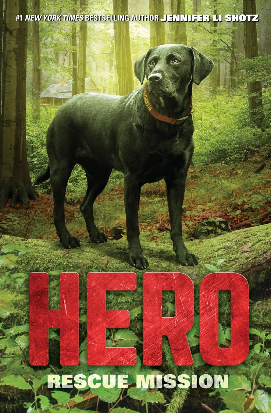 Hero: Rescue Mission