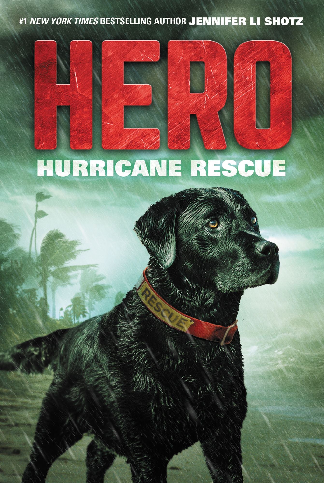 Hurricane Rescue (Hero Series #2)