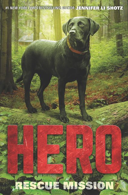 Hero: Rescue Mission