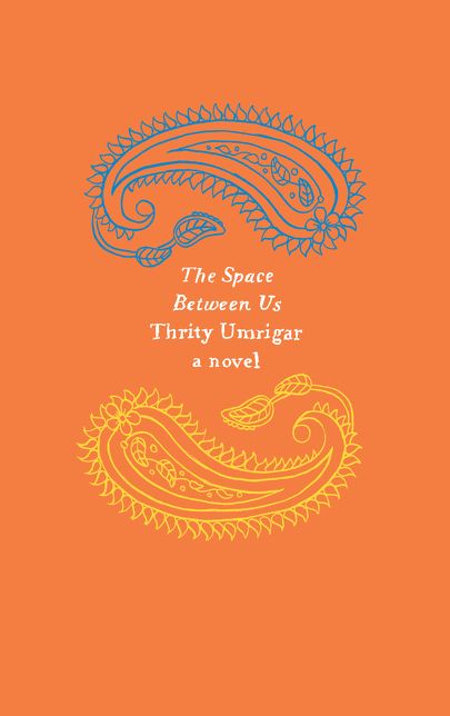 The Space Between Us: A Novel