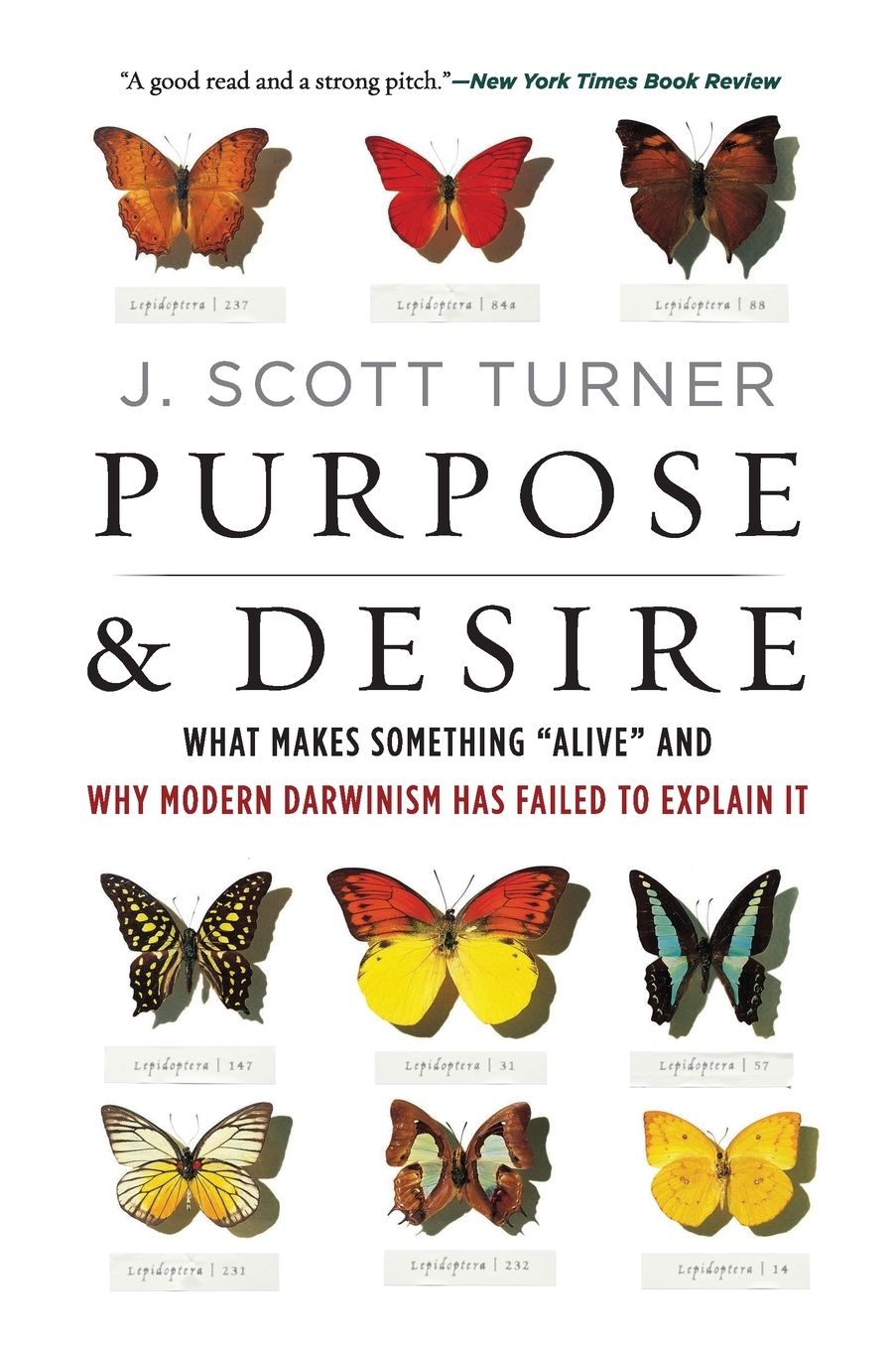 Purpose and Desire: What Makes Something "alive" and Why Modern Darwinism Has Failed to Explain It