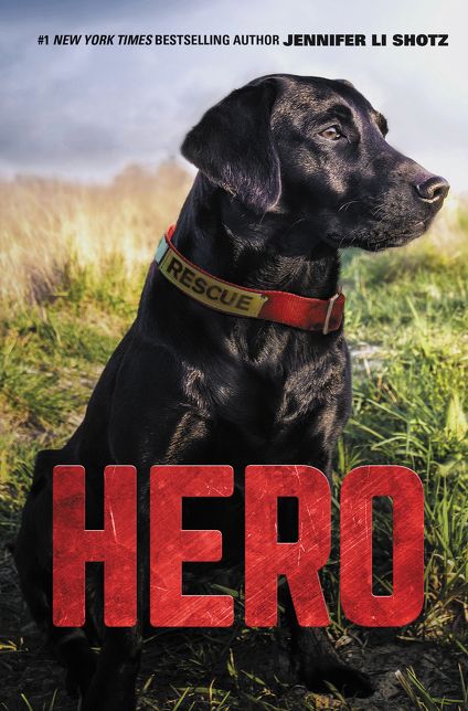 Hero (Hero Series #1)
