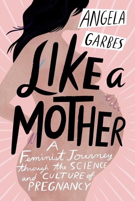 Like a Mother: A Feminist Journey Through the Science and Culture of Pregnancy