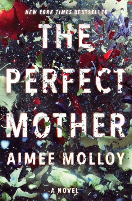 The Perfect Mother: A Novel
