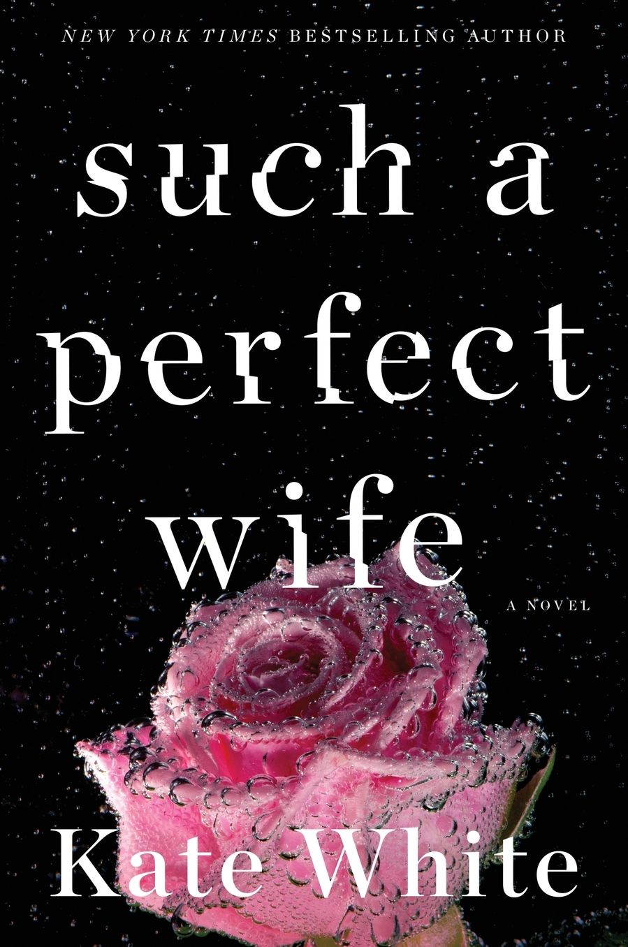 Such a Perfect Wife
