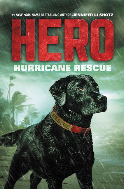 Hurricane Rescue (Hero Series #2)