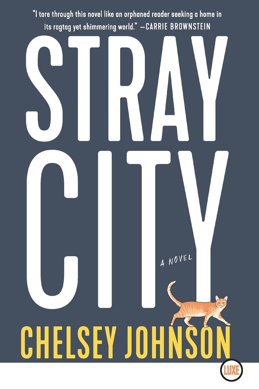 Stray City: A Novel