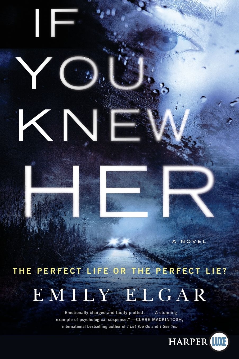 If You Knew Her: A Novel