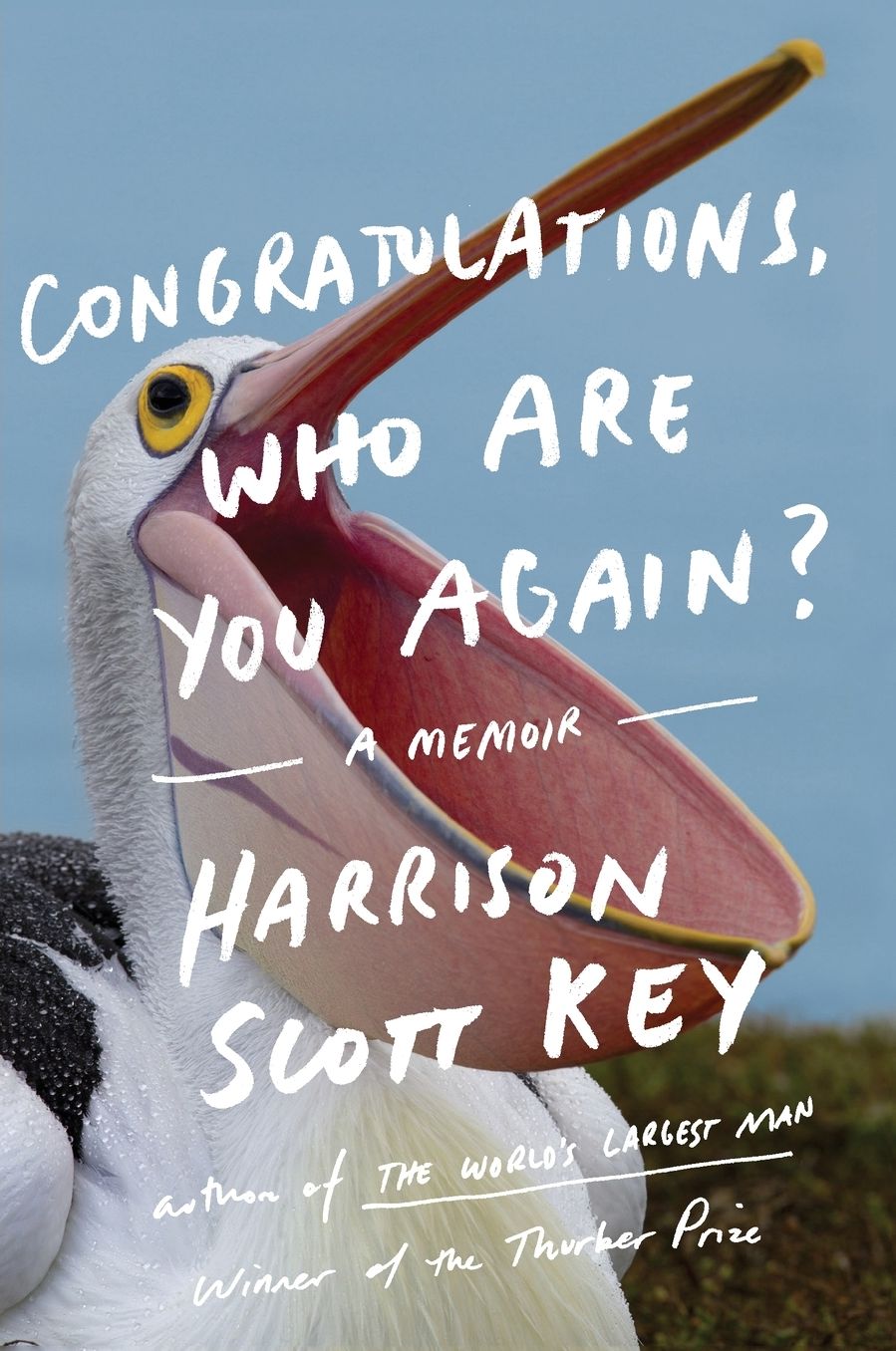 Congratulations, Who Are You Again?: A Memoir