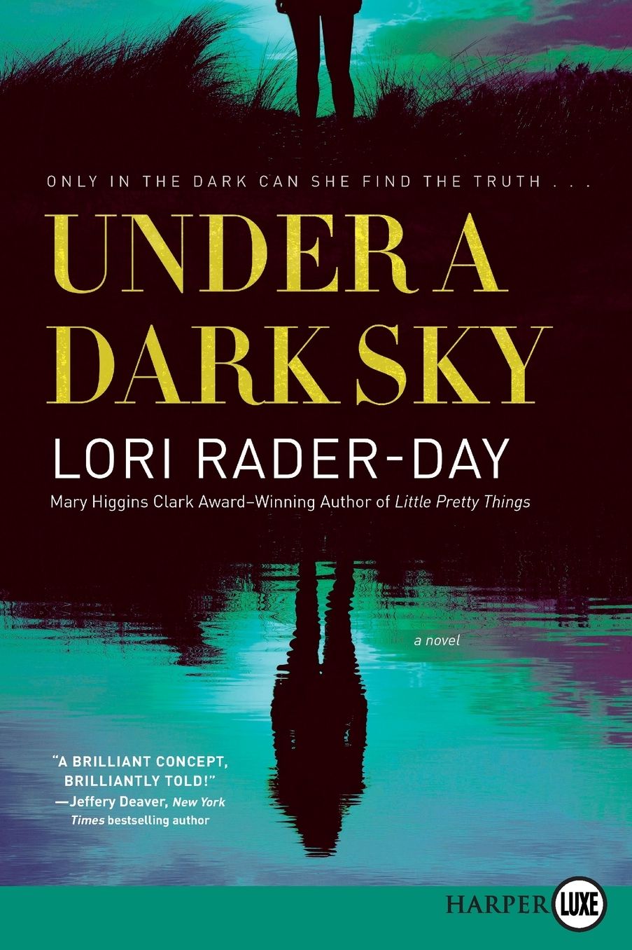 Under a Dark Sky: A Novel