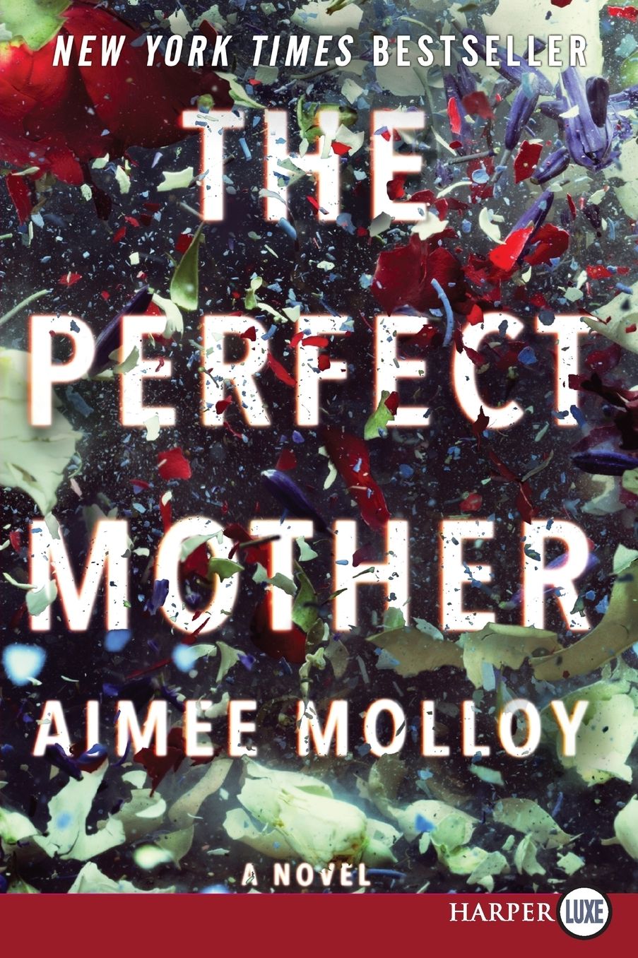 The Perfect Mother: A Novel