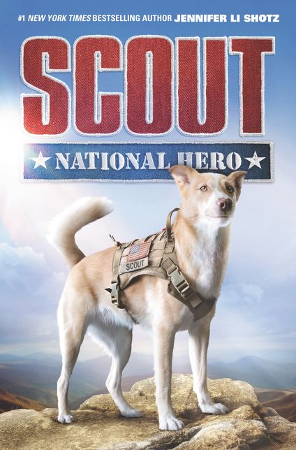 Scout: National Hero