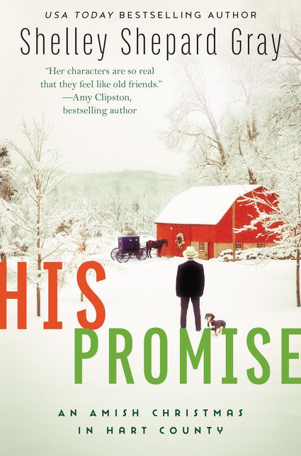 His Promise: An Amish Christmas in Hart County
