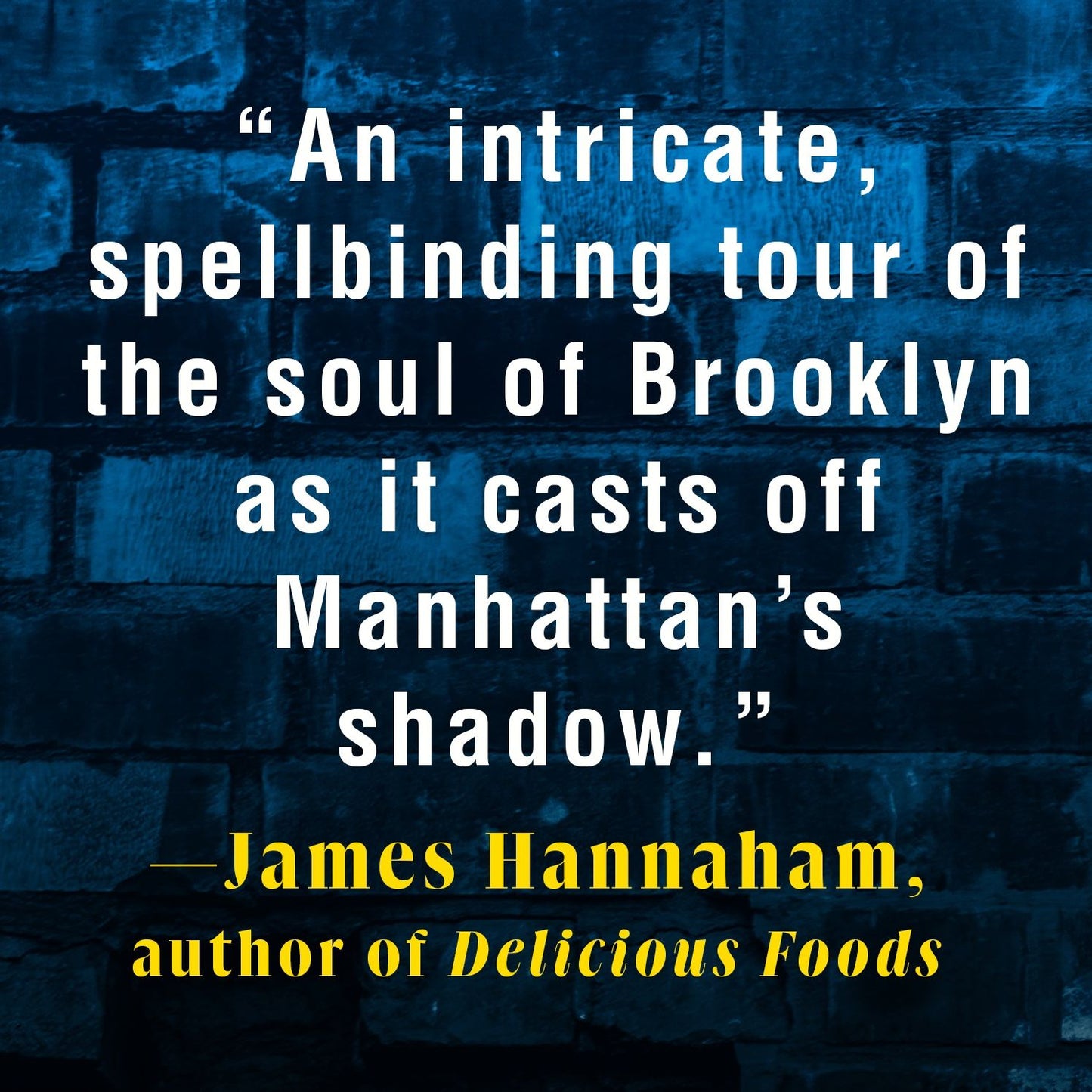 Brooklyn Crime Novel: A Novel