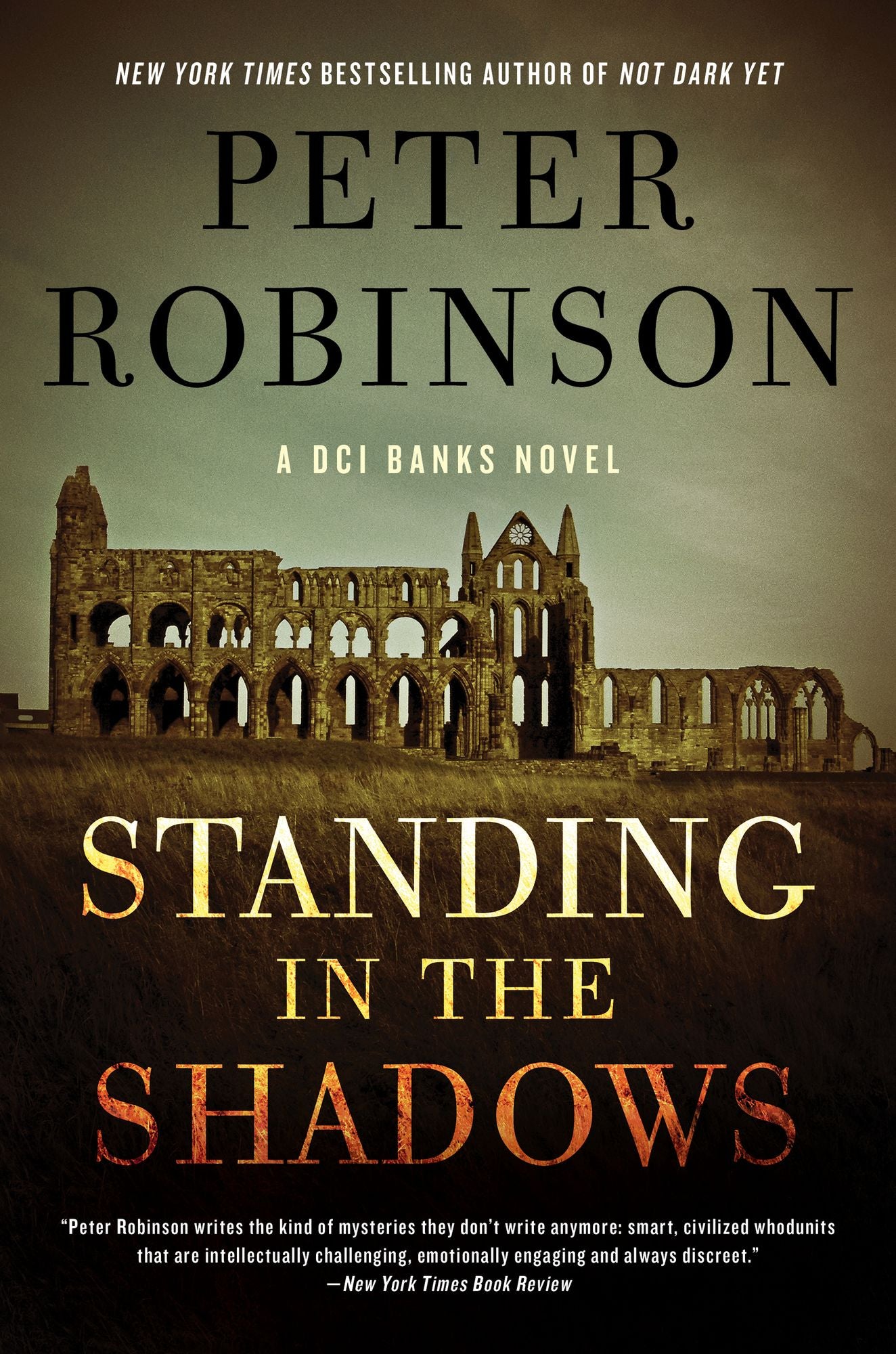 Standing in the Shadows: A Novel
