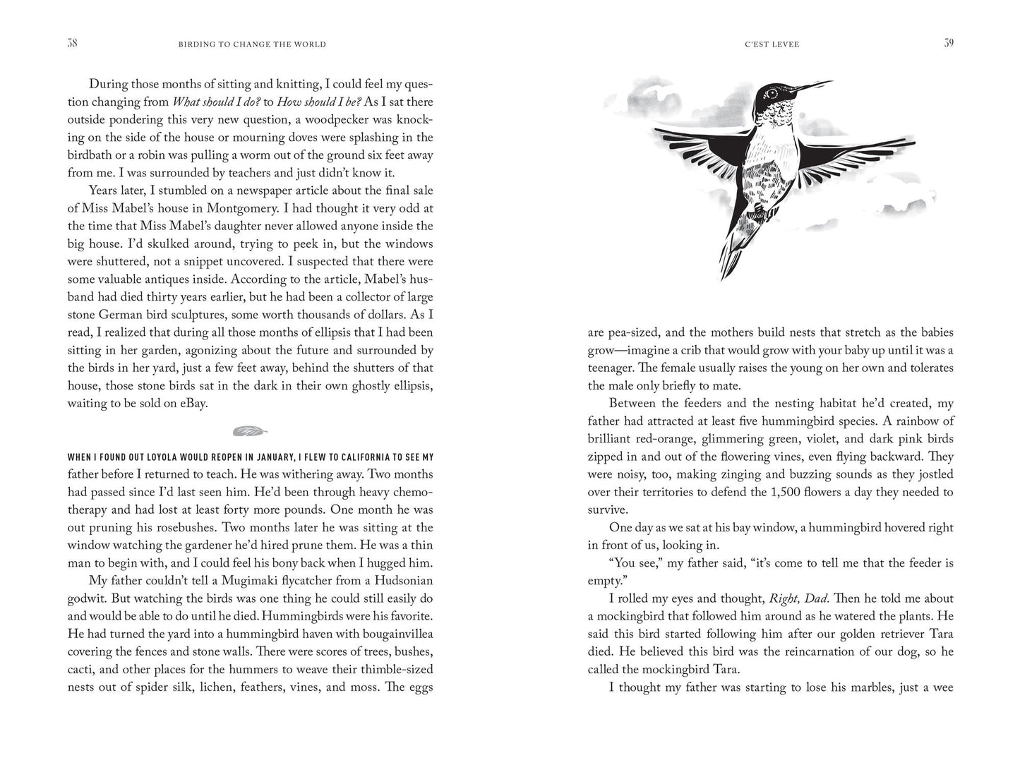Birding to Change the World: A Memoir