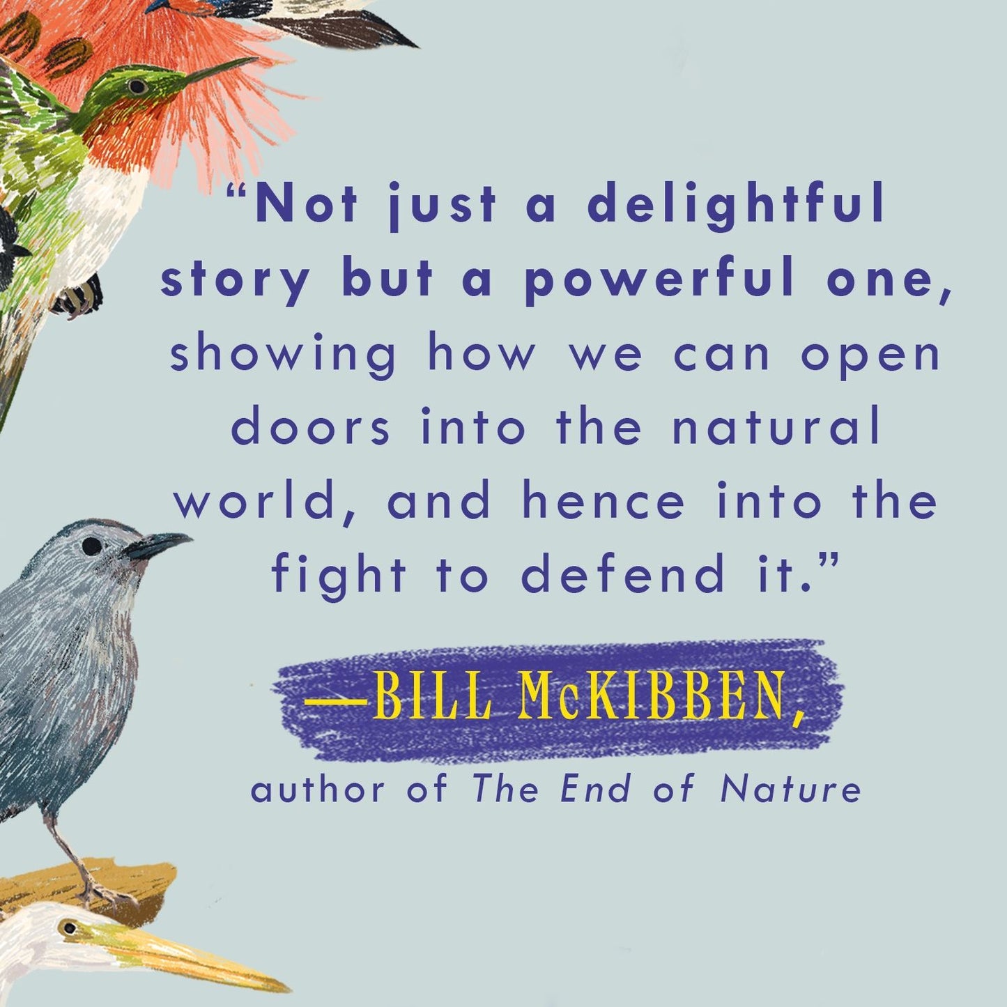 Birding to Change the World: A Memoir