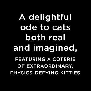 Invisible Kitties