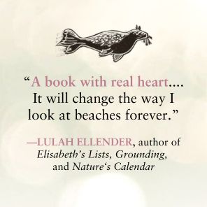 Sea Bean: A Beachcomber's Search for a Magical Charm-A Memoir