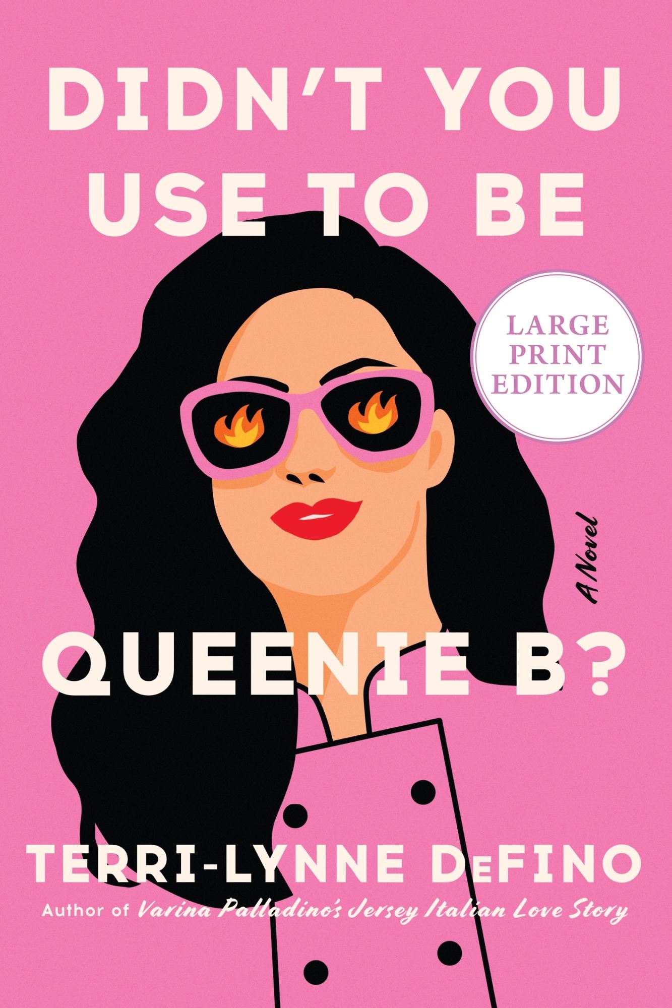 Didn't You Use To Be Queenie B?: A Novel