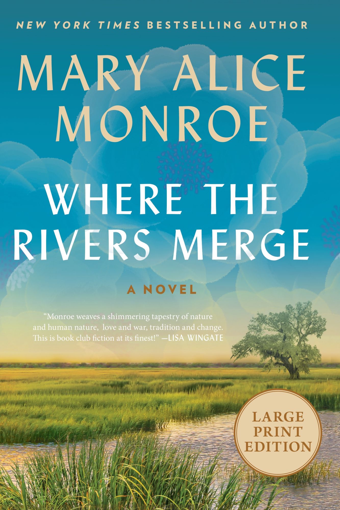 Where the Rivers Merge: A Novel