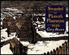 Stranded at Plimoth Plantation 1626