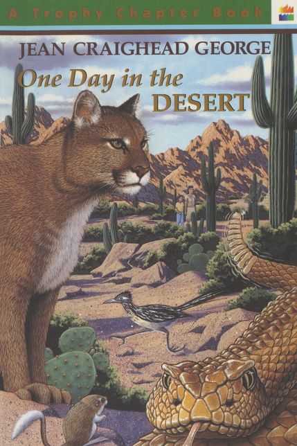 One Day in the Desert